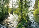Участок 60 соток
