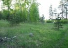 Участок 60 соток
