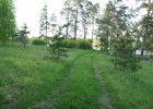 Участок 60 соток