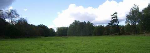 Vuoksa (8.5 Ha)